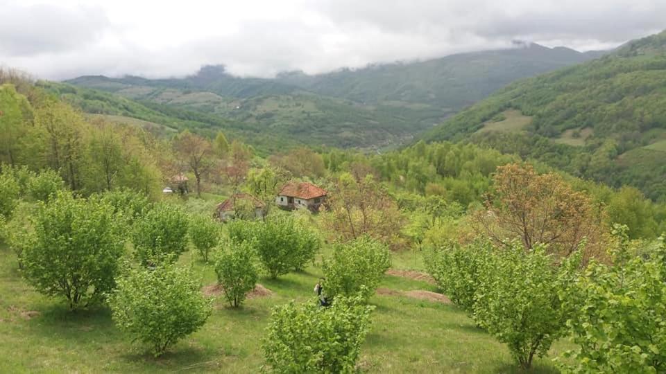 Camera Privata Bulz Εξωτερικό φωτογραφία
